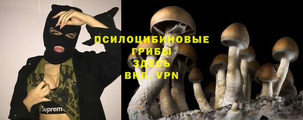 синтетический гашиш Алексин