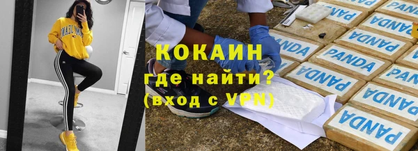 индика Алексеевка