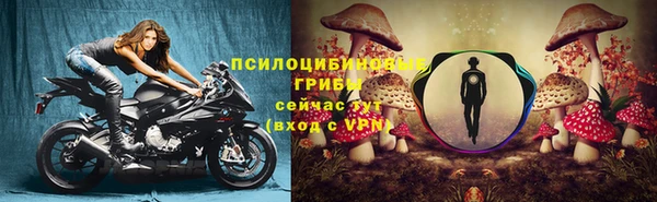 герыч Арсеньев