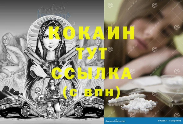 гидропоника Алзамай