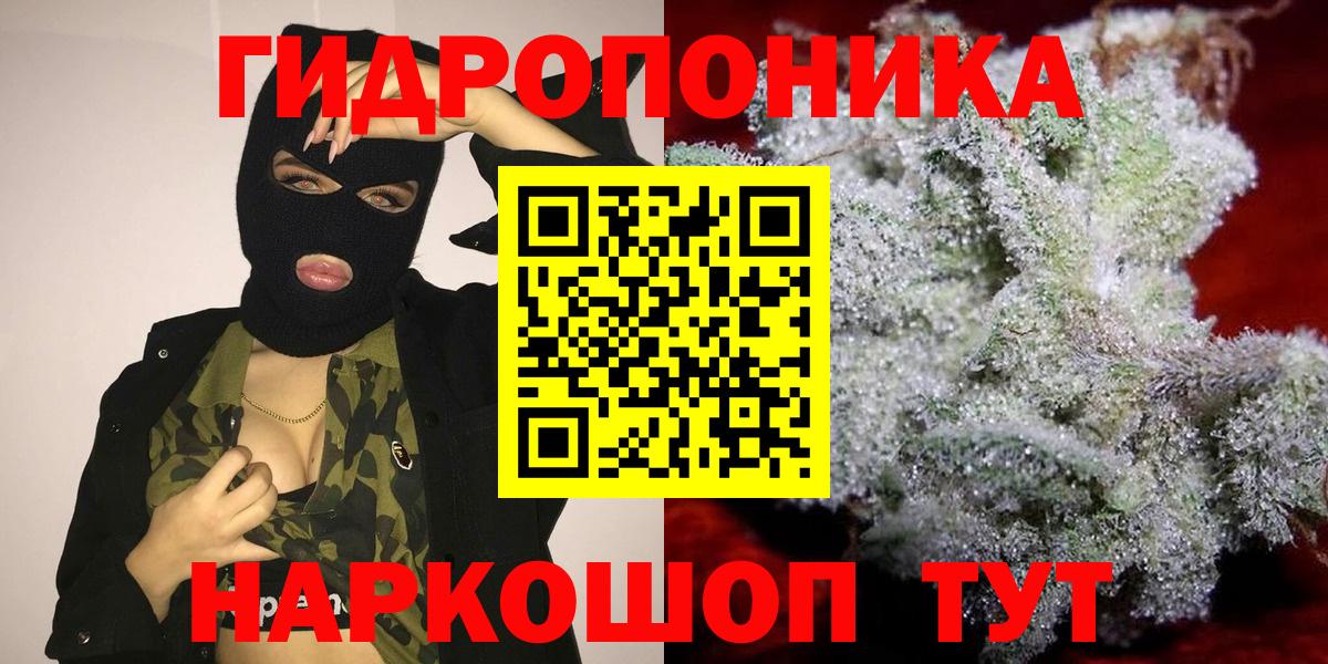 Шишки марихуана гибрид Добрянка